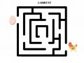 172655722_484600616225994_7884692514990265829_n