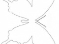 motyl