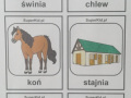Załącznik-nr-1-memory-cz.1