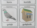 Załącznik-nr-2-memory-cz.2