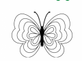 motyl