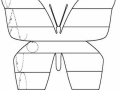 motyl-szlaczki