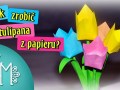 tulipany2