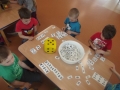 DSCF4247
