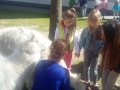 20180420_111637