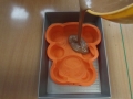 DSCF6764