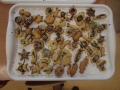 DSCF3759
