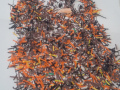 20191022_103118