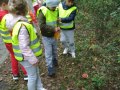 IMG_20200929_104834