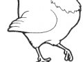 123929610_1830267817113772_3932635284224020686_n