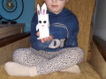 IMG_20200406_131146
