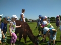 IMG_20190605_113832