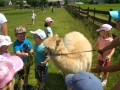 IMG_20190605_114025