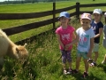IMG_20190605_114930