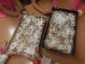DSCF4820