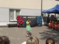 DSCF7801