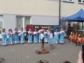 DSCF7838